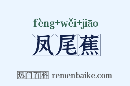 凤尾蕉是什么意思的图片